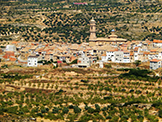 Paysage Les Garrigues 1