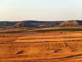 Paysage Les Garrigues 2