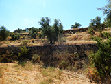 Paysage Les Garrigues 2