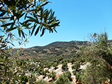 paysage Sierra Magina
