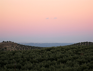 couche de soleil andalou