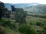 paysage espagnol avec toro