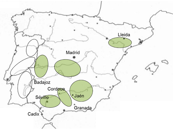 carte production de l'huile d'olive